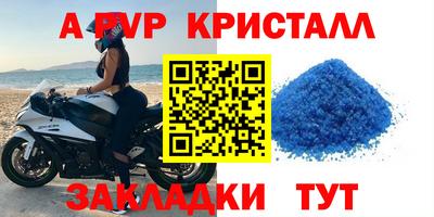 стаф Кулебаки