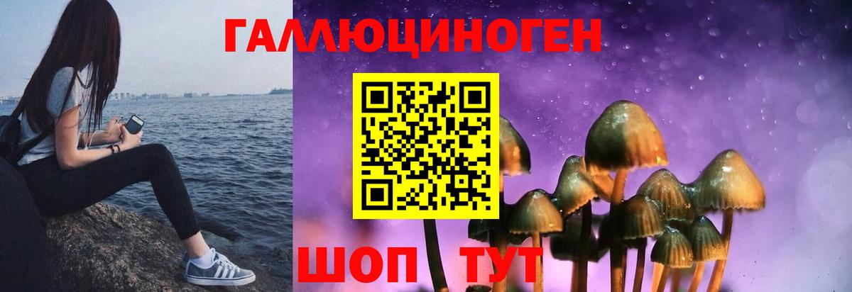 Кострома  Галлюциногенные грибы мухоморы  Вход с VPN 