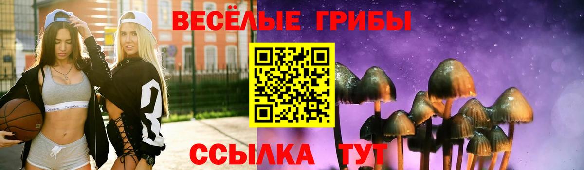 Псилоцибиновые грибы GOLDEN TEACHER Кострома