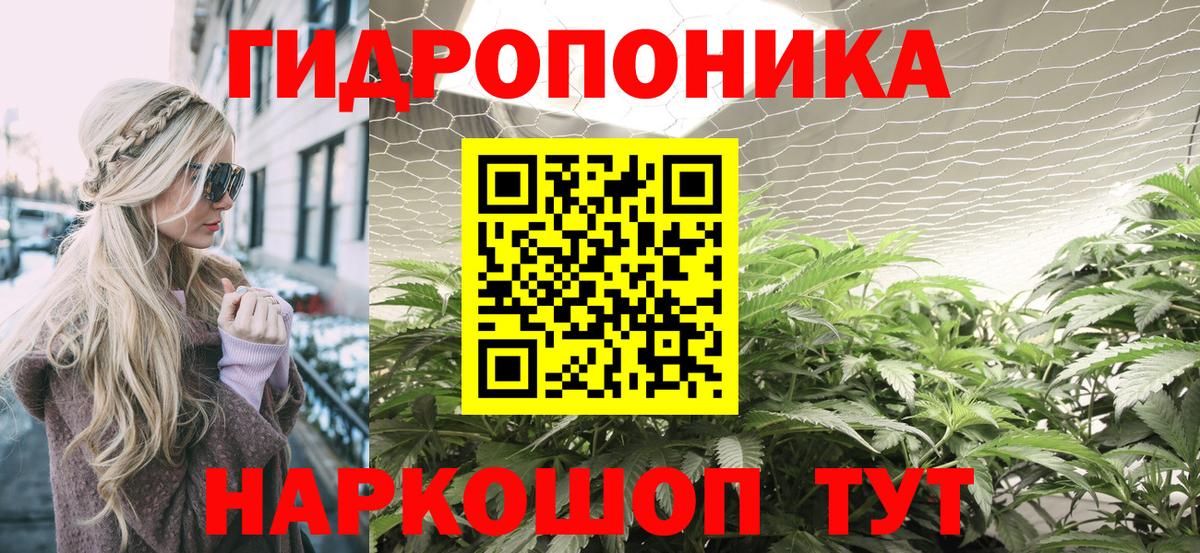 Кострома  Бошки марихуана сатива  Вход с VPN  Канабис план  Конопля AK-47  МАРИХУАНА THC 21% 